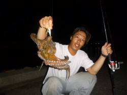夜の兵突大タコも！