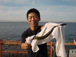 【ビックリうなぎだ！！】南芦屋浜リアルタイム