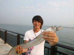 空港ＲＴ　大きいタチウオ釣れました！