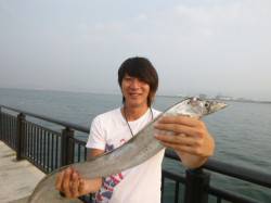 空港ＲＴ　大きいタチウオ釣れました！