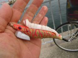 北公園　タコエギジャックにブタの脂身 