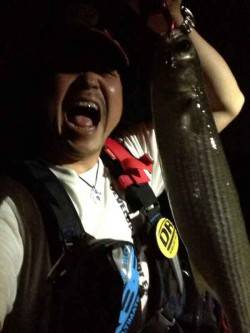 大阪南港　ボラの下にシーバスはいるものの釣…