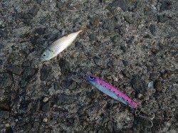 岸和田一文字でサバゲー・豆アジゲー♪