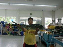 見老津でイサキ・グレ・イガミ・シイラゲット！