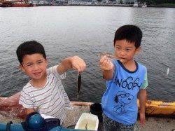 ☆なぎさの小アジ☆泉大津　昼RT１５日