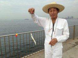 【朝からサヨリちゃん入れ食い】南芦屋浜