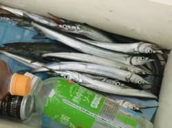 【大盛況です】南芦屋浜リアルタイム