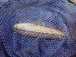 朝の神戸港各ポイント盛り上がってますよ