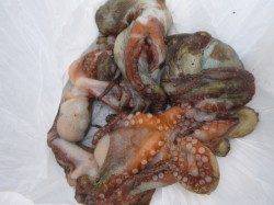 朝の兵突楽しい釣り！