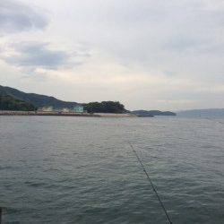 とっとパーク小島　雨宿りをしながらガシラ＆アジ