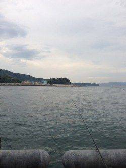 とっとパーク小島　雨宿りをしながらガシラ＆アジ