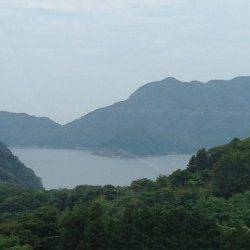 【ガシラにアコウ】宮尾でのワーム釣り