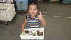 芳養の堤防　サビキでアコウゲット！