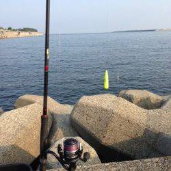 汐見埠頭　SLエアシンカーのちょい投げでキス〜15cm7匹