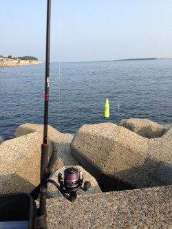 汐見埠頭　SLエアシンカーのちょい投げでキス〜15cm7匹