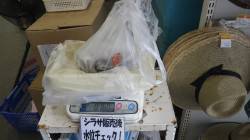 堺堤防グランド前でエギング　〜アオリ760…