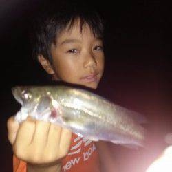 加古川河口一文字～神鋼ケーソンでのセイゴの釣果