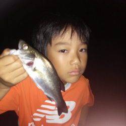 加古川河口一文字～神鋼ケーソンでのセイゴの釣果