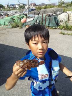 本荘人工島、穴釣り2時間程の釣行♪