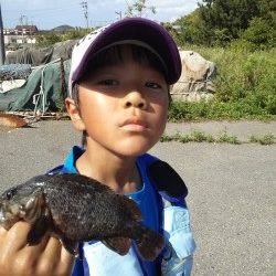 本荘人工島、穴釣り2時間程の釣行♪
