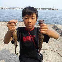 東二見でタコ釣り、粘りに粘って2ハイGET