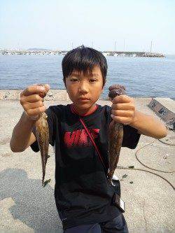 東二見でタコ釣り、粘りに粘って2ハイGET