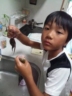 東二見でオクトパッシング、マダコＧＥＴ！