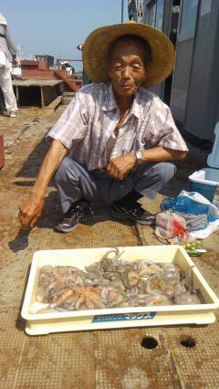 岸和田・タコはまだまだ釣れています！