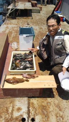 沖の一文字、しらさの浮き釣りで根魚& チヌ