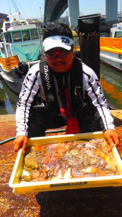 岸和田旧一文字で2.4kgのタコ！！数釣りも楽しめます♪