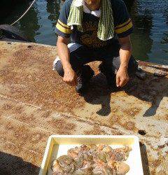 岸和田一文字のタコ好調です☆