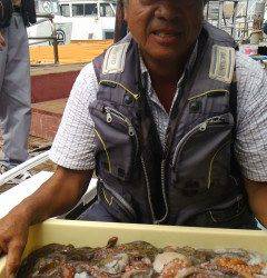 今、タコを釣るなら岸和田へＧＯ！