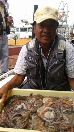 今、タコを釣るなら岸和田へＧＯ！