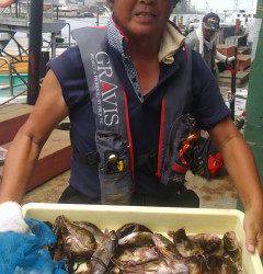 沖の北では、マメアジ＆ガシラが好調！！