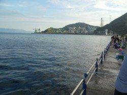 千歳　ファミリーフィッシング釣行　ルアーでエソ・サビキで豆アジ釣果