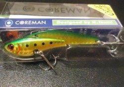 朝一デイゲーム！ベイトが出始めたこれからに期待です