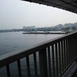 北公園でエビのタコジグでタコを狙う！