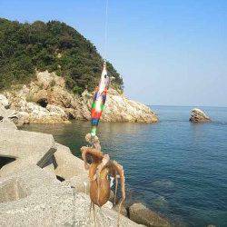 衣奈漁港　エギングでヒットしたのはタコ＆カマス