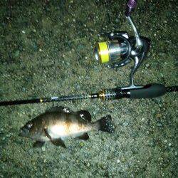 炬口でアジング、ボトムまで沈めてデッドスローでヒット