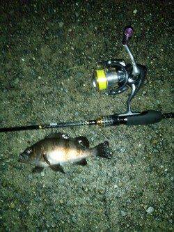 炬口でアジング、ボトムまで沈めてデッドスローでヒット