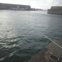 田村漁港　夕方の紀州釣りでチヌ31cm＆22cm