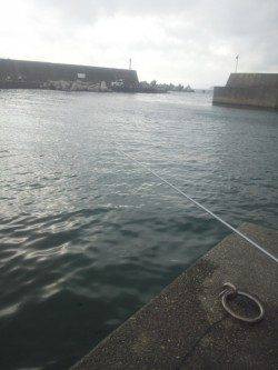 田村漁港　夕方の紀州釣りでチヌ31cm＆22cm