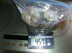 本荘人工島、真昼の蛸釣り釣行