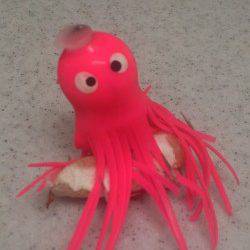 神戸東部でのオクトパッシング釣果