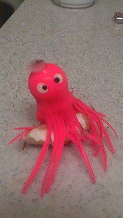 神戸東部でのオクトパッシング釣果