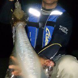 衣奈漁港　エギングでアオリイカ狙いは3・4投目のボトムでHIT！