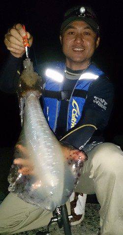 衣奈漁港　エギングでアオリイカ狙いは3・4投目のボトムでHIT！