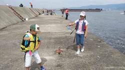 武庫川尻一文字　サビキ・タコジグ・胴付での…