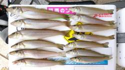 キス釣りは遠投有利、ポイントを変えれば近投…