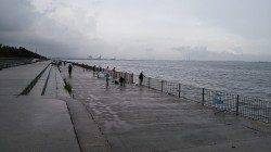 【9時頃から小サバがHIT】南芦屋浜サビキ釣行